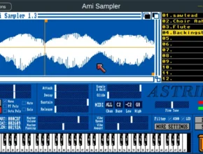 Ami Sampler