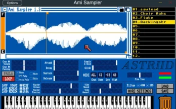 Ami Sampler