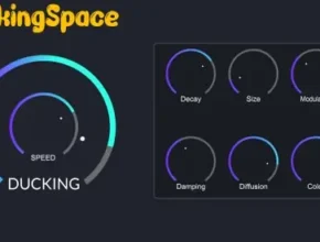 DuckingSpace