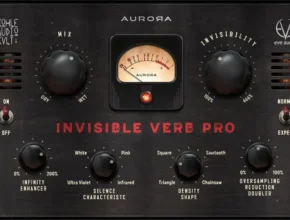 Invisible Verb Pro