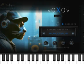 SlapAsSound VoXov Vol.22 BNDL Chill