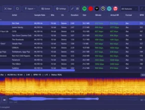 AudioAuditor