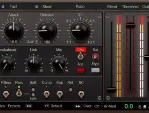 YS Dual Mode Dynamics