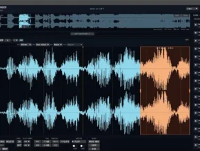 Polarity Recorder